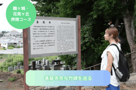 善龍寺奈与竹碑を巡る