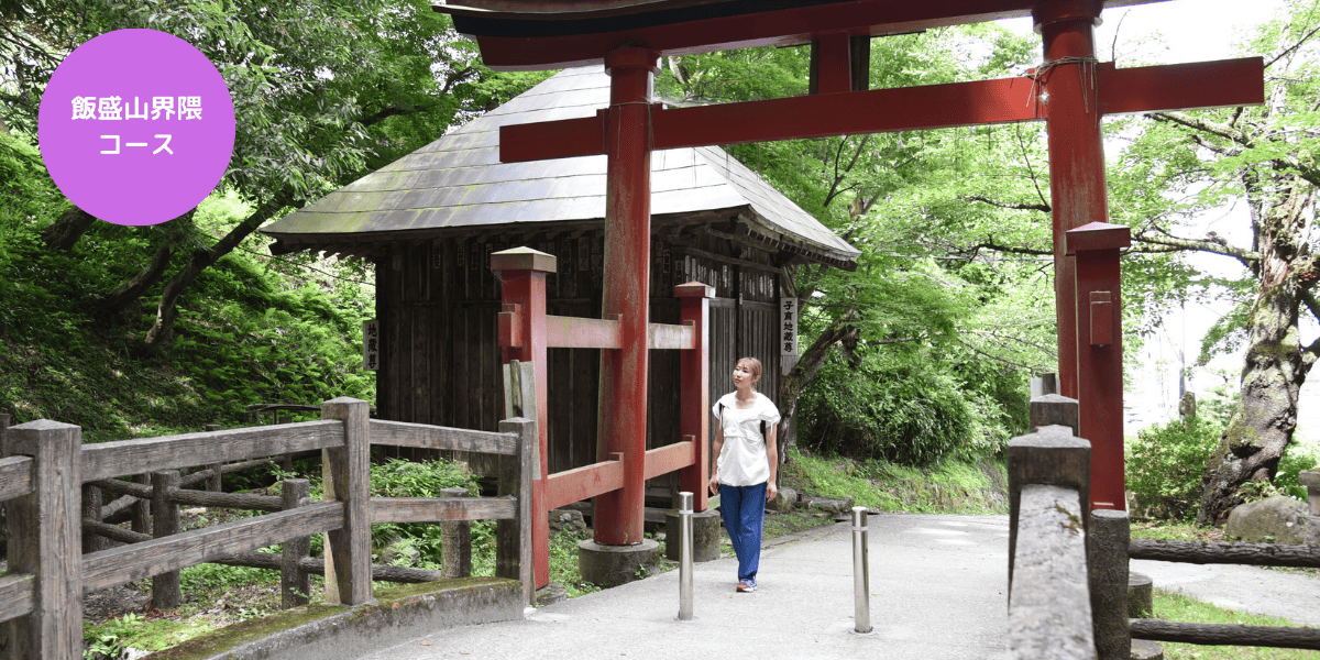  歴史名所巡り<br>〜飯盛山と滝沢地区〜<br>※御朱印付き